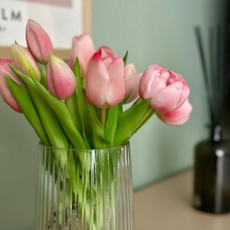 Mm Residence クルージュ＝ナポカ エクステリア 写真